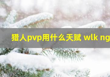 猎人pvp用什么天赋 wlk nga